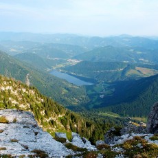 Blick vom Scheiblingstein auf Lunzer See