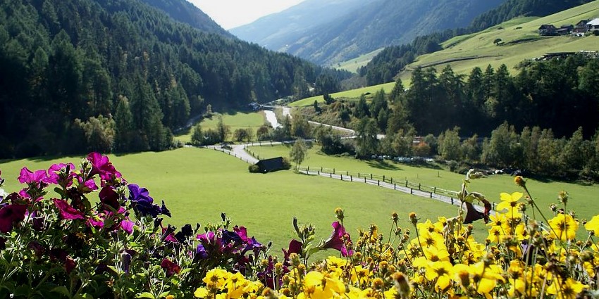 Ausblick vom Hof