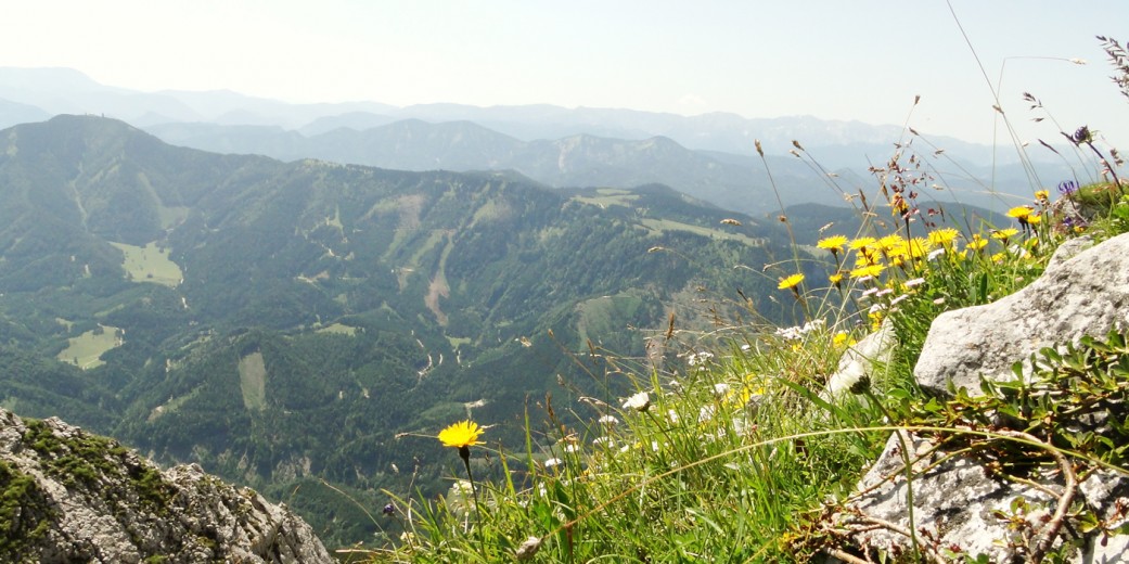 Blick vom Ötscher