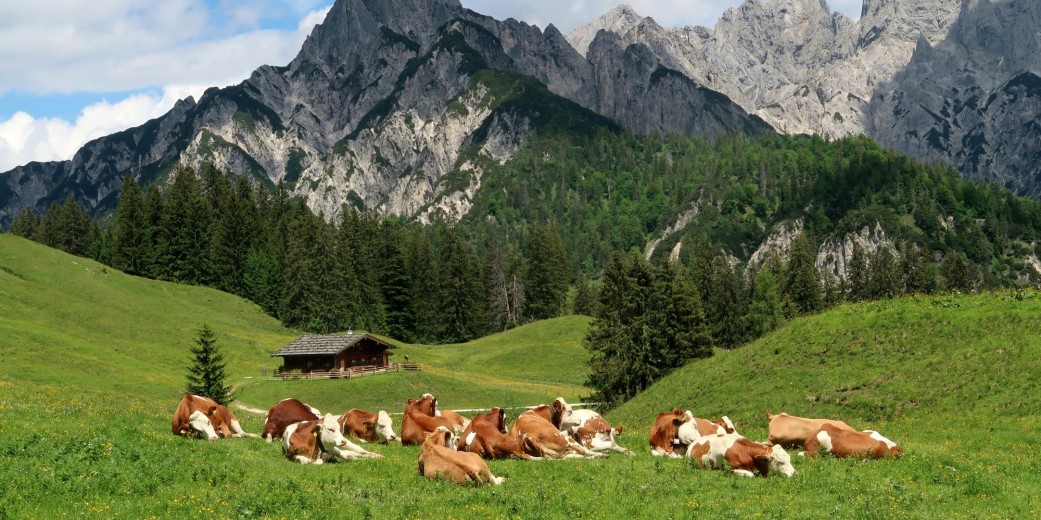 Die Litzalm ist Teil des Landschaftschutzgebietes