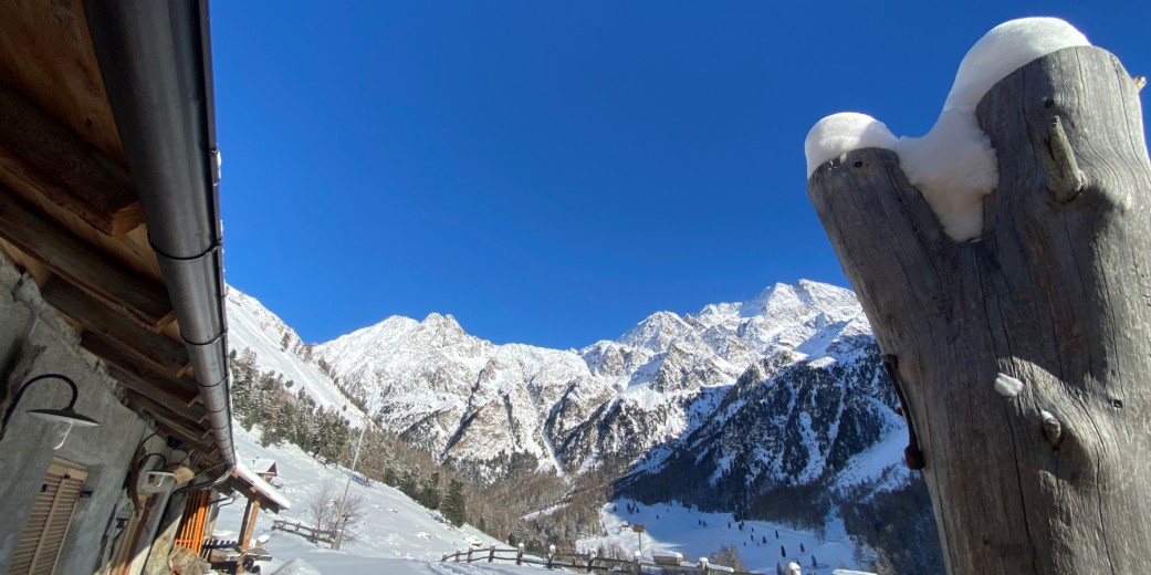 Ein herrlicher Blick in 2045 Meter Höhe, auf die Saldurspitze (3.433 m), Saldurköpfe, Spitzat und Lackenspitz