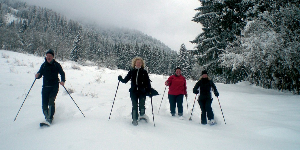 Schneeschuhwanderung durch den Hochwald