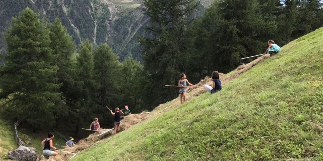 Heuernte auf der 2000 Meter hoch gelegen Bergwiese