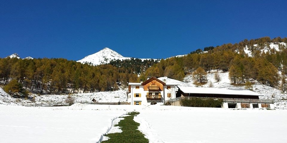 Der Thaneihof zu Winteranfang