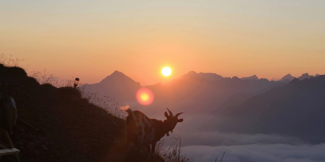 Sonnenuntergang von der Olpererhütte betrachtet