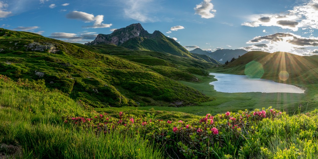 Der Zollnersee