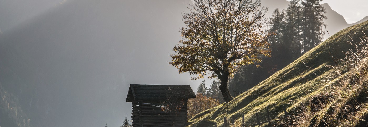 Bergmäder in Hüttschlag