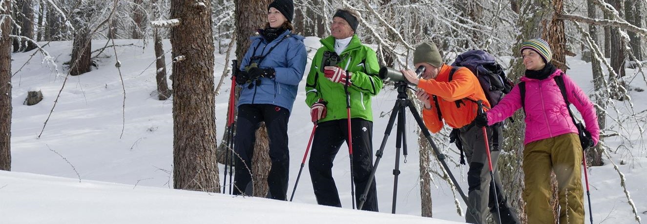 Wildtierbeobachtung im Winter