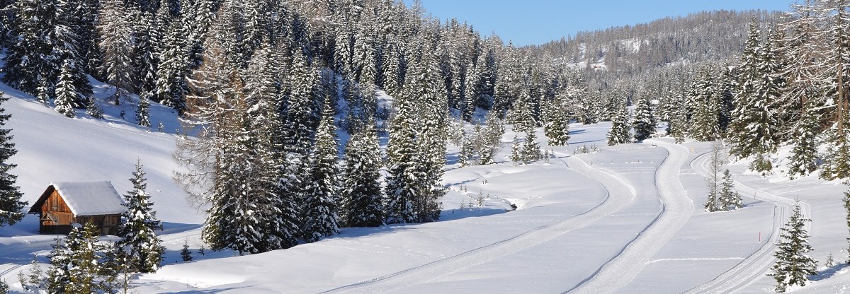 Höhenloipe Prebersee