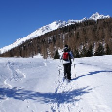 Schneeschuhwandern im Valle di Lozio