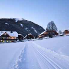 Landhotel - Apartments - Ferienhaus Sepp Bauer im Winter