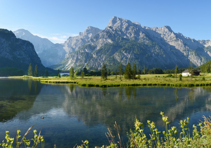 Der Almsee